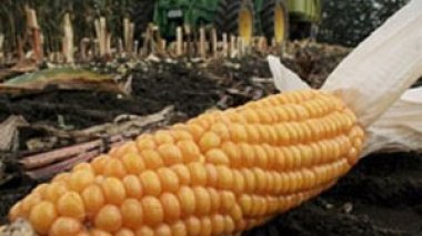 La Banque africaine de développement met en garde contre la hausse des  prix