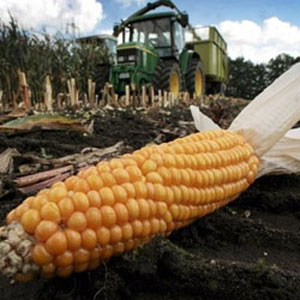 La Banque africaine de développement met en garde contre la hausse des  prix