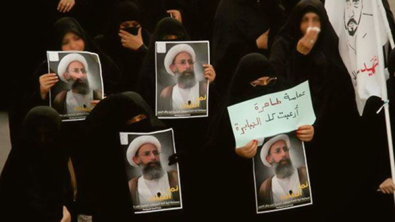 إعدام “النّمر”.. الشّجرة التي يراد لها أن تغطّي الغابة