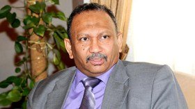 نادية لعبيدي “تهمش” في قسنطينة وتكرّم في السودان