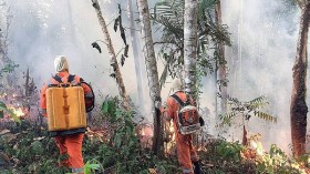 Feux en Amazonie: Bolsonaro accepte finalement une aide financière de l’étranger