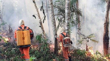 Feux en Amazonie: Bolsonaro accepte finalement une aide financière de l’étranger