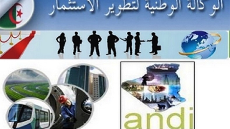 الاستثمارات في الجزائر تفوق 22.5 مليار دولار سنة 2013