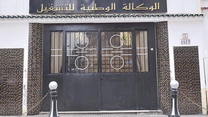 وزارة العمل تأمر بالقيام بـ”غربلة” واسعة للشباب العامل وفق عقود “أنام”