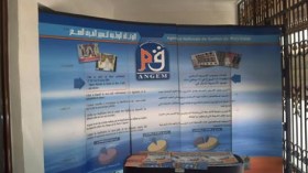 قروض مصغرة لإدماج المصابات بالسيدا في المجتمع