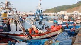 عصابة مدججة بالأسلحة تعتدي على صيادين في عنابة