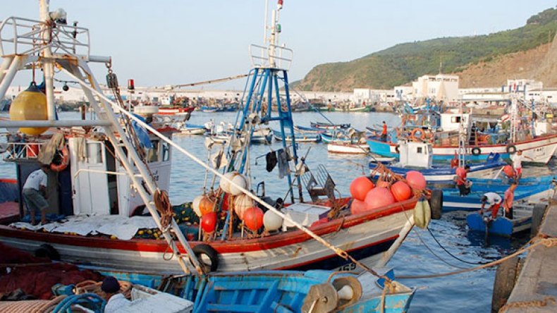 عصابة مدججة بالأسلحة تعتدي على صيادين في عنابة