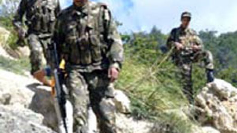 الجيش  يمشط  غابات  سرايدي  بعنابة