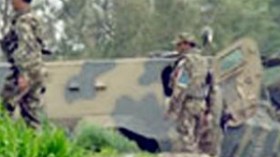 الخنازير والكلاب الضالة تنهش جثث 4 إرهابيين بتيزي وزو