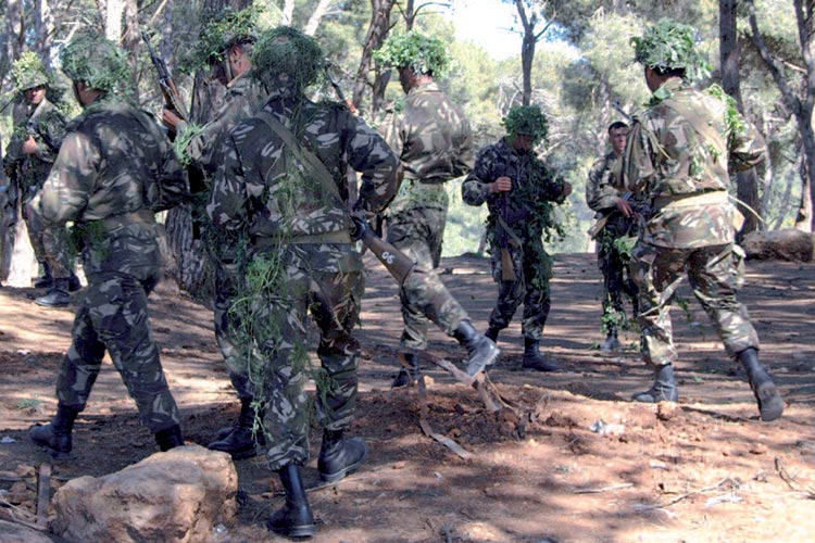 Vaste ratissage sur les hauteurs de Skikda