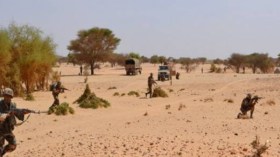 الجيش يوقف إرهابيين اثنين ببرج باجي مختار