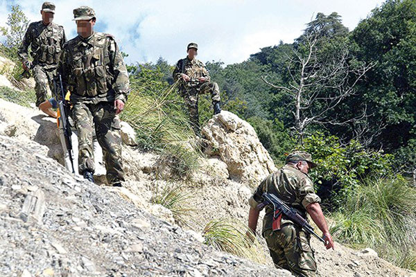 Cinq terroristes mis hors d'état de nuire à Bouira