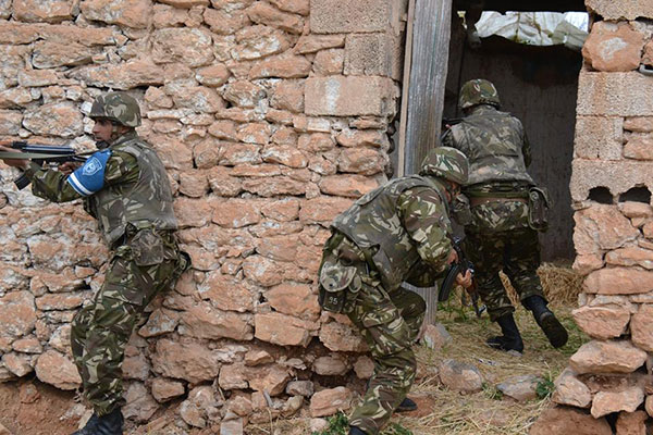 Un terroriste capturé à Tébessa