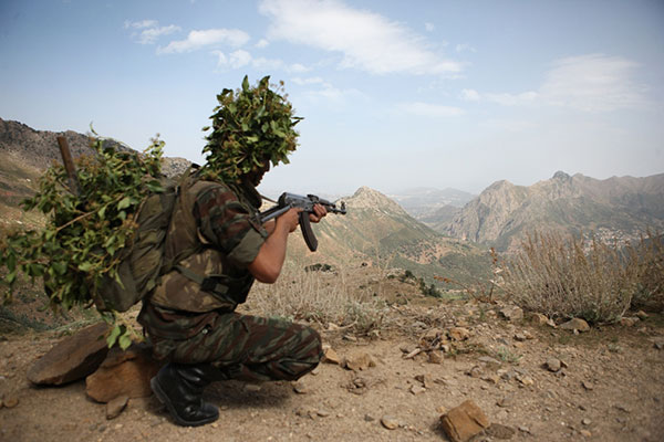 Five terrorists killed in Bejaia
