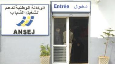 42.000 projets de micro-entreprises financés par l’ANSEJ en 2011