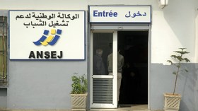 “إجراءات جديدة لتسهيل حصول الشباب على المشاريع الاستثمارية”