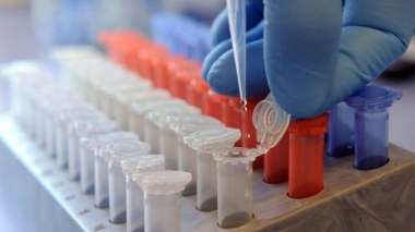 Mise en garde contre les antibiotiques vétérinaires frelatés en Afrique