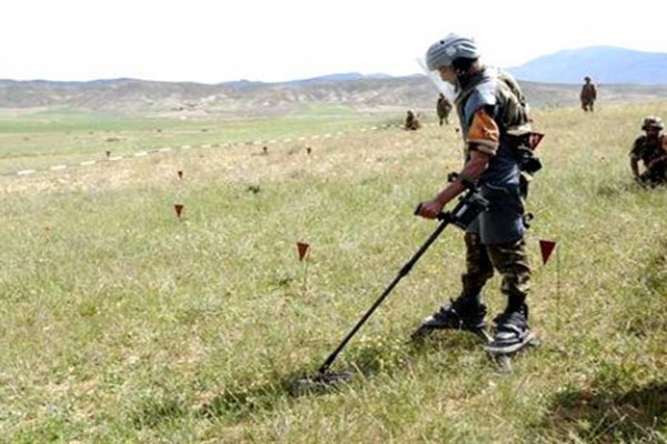 13 mines détruites à Constantine et deux refuges détruits à Bouira par l'ANP