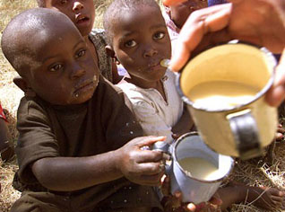Zimbabwe: le choléra a fait 3.295 morts et contaminé 64.701 personnes