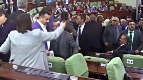 “دبزة ودماغ” في برّ-لمان!