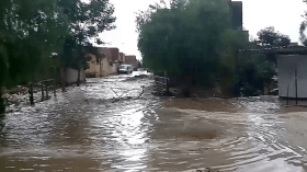 الفيضانات تخرج مواطنين إلى الشارع ببلعباس