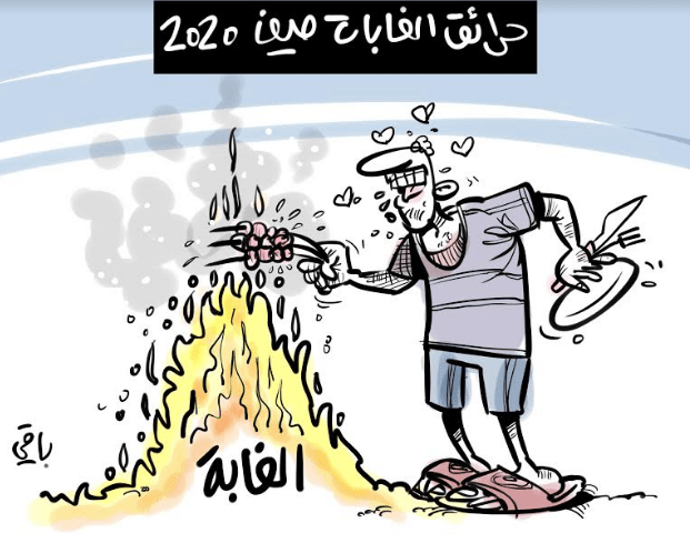 حرائق الغابات