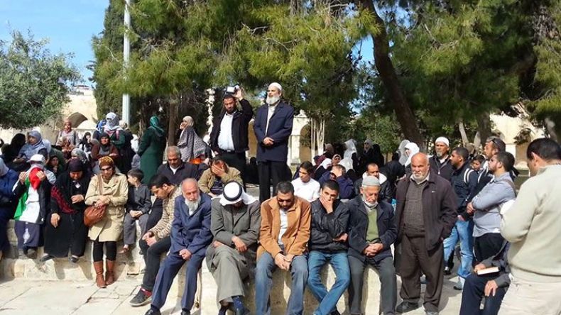 الكرسي و”داعش” والجبهة الاجتماعية تصرف أنظار العرب عن قضيتهم الأولى