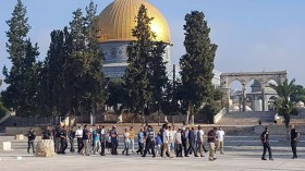 اقتحامات يهودية كبيرة للأقصى ودعوات إسلامية لحمايته