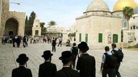 1615 إسرائيليا اقتحموا المسجد الأقصى في سبتمبر