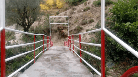 “التويزة” تريح المواطنين من بيروقراطية المسؤولين