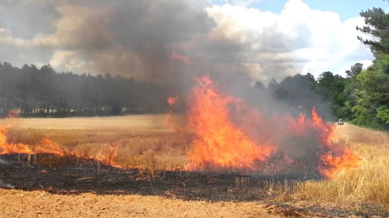 إنقاذ منازل و600 هكتار من القمح من النيران بوادي العثمانية وفرجيوة  بميلة