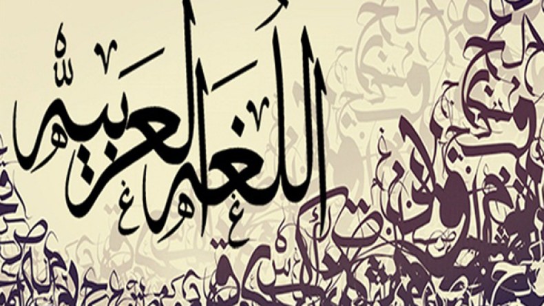 لا يوجد بلد في العالم تطور بغير لغته