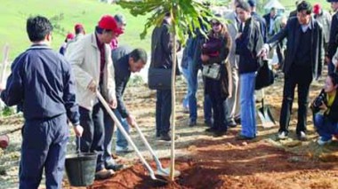 1,5 million d’arbres plantés d’ici au 5 juillet prochain