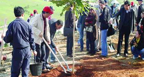 1,5 million d’arbres plantés d’ici au 5 juillet prochain