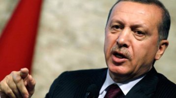 أرانب الحضارة الغربية في الشرق