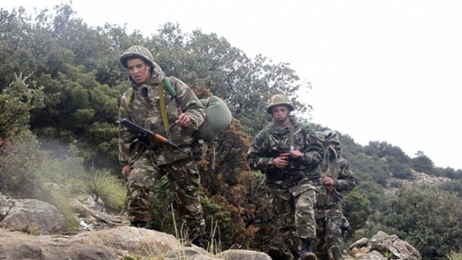 تدمير تسعة مخابئ للإرهابيين بالبويرة