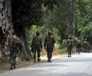 Terrorism: Algerian forces eliminate two terrorists east of Algiers