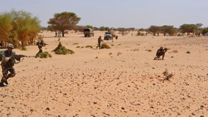 إرهابي يسلّم نفسه بتمنراست