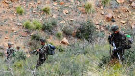 تدمير 5 مخابئ للإرهابيين بتيزي وزو وجيجل