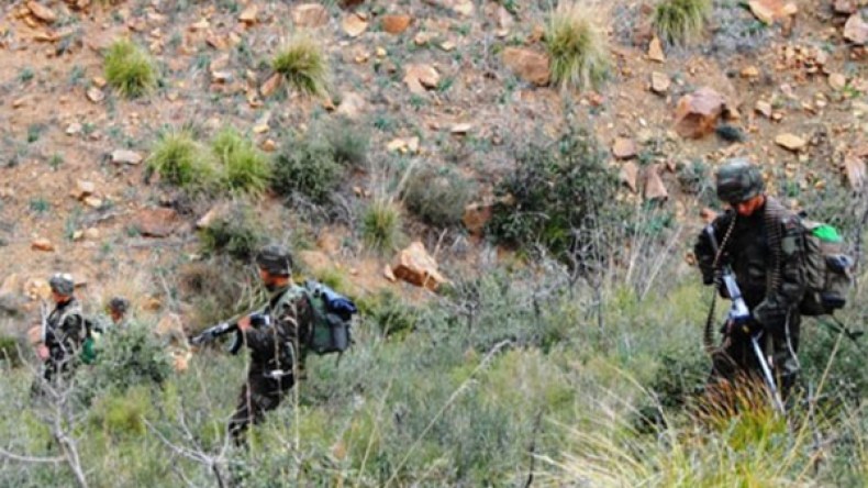 تدمير 5 مخابئ للإرهابيين بتيزي وزو وجيجل