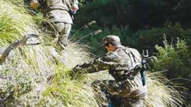 Algerian forces arrest a terrorist east of Algiers