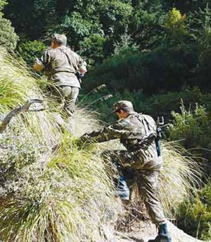 Algerian forces arrest a terrorist east of Algiers