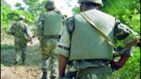 Security services arrest a terrorist back up cell east of Algeria