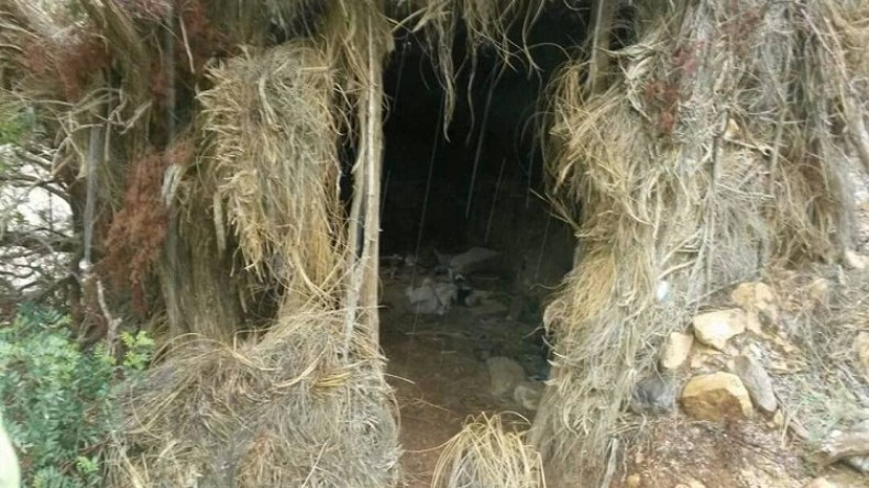 تدمير 6 مخابئ للإرهابيين ببومرداس