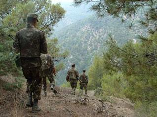 Five terrorists killed in Algeria