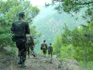 Algerian army kills 21 terrorists