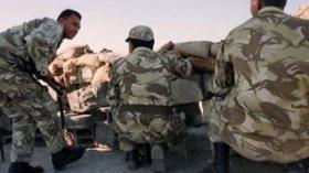Algerian forces thwarted an attempt to supply terrorists with arms and ammunition