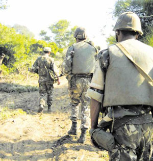 Security services eliminate eight terrorists and arrest three during one week east of Algiers