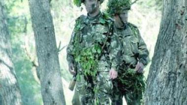 Terrorist arrested in eastern Algeria