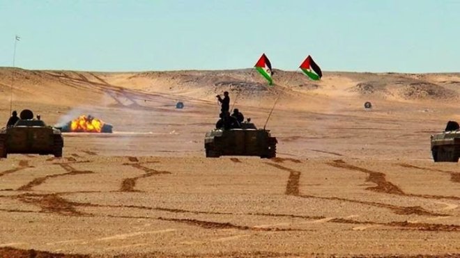 ما حقيقة مقتل قيادات من جيش النظام المغربي في الصحراء الغربية؟